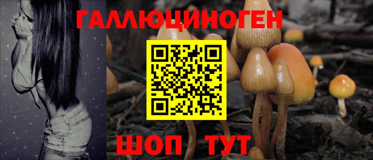 Людиново  Псилоцибиновые грибы прущие грибы  Псилоцибиновые грибы Psilocybine cubensis  Вход с VPN 