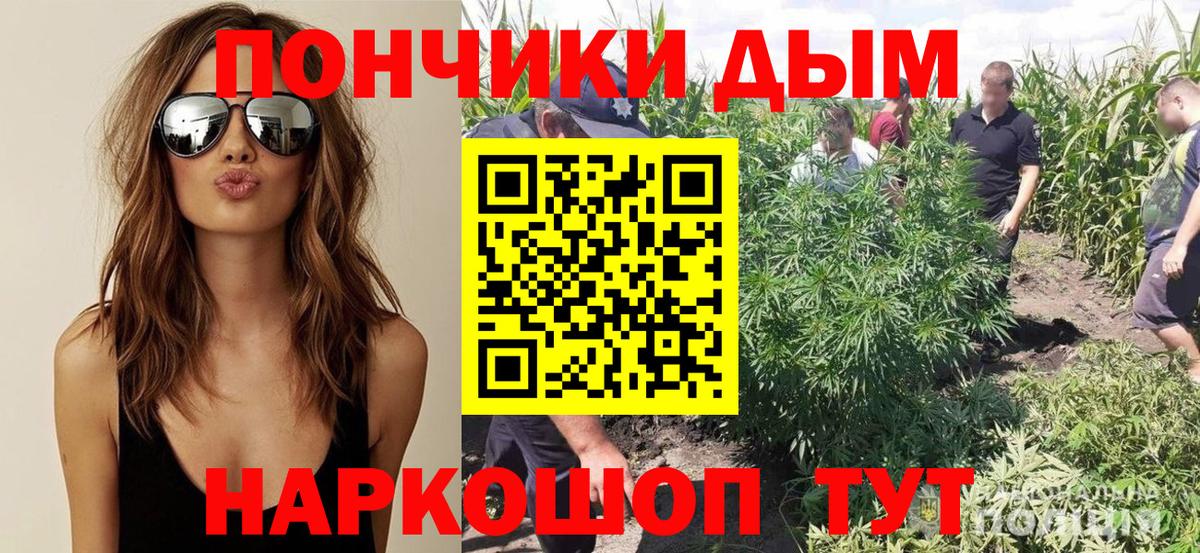 Бошки Шишки Bruce Banner Людиново