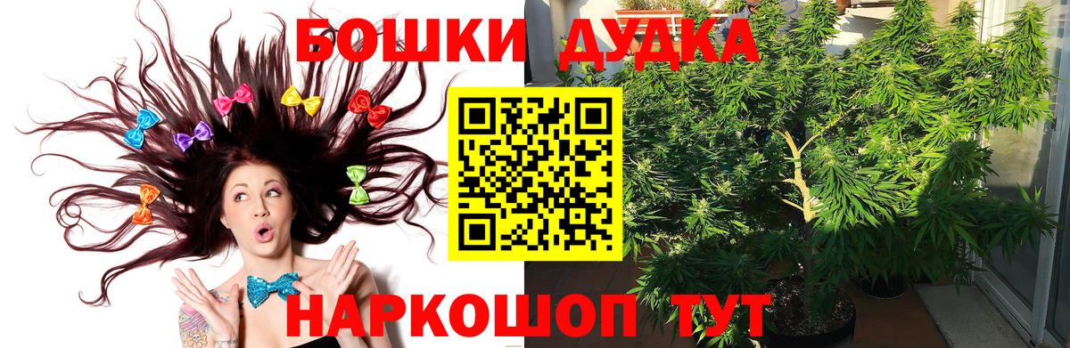 Шишки марихуана Ganja  Бошки марихуана план  Людиново  МАРИХУАНА White Widow  Вход с VPN 